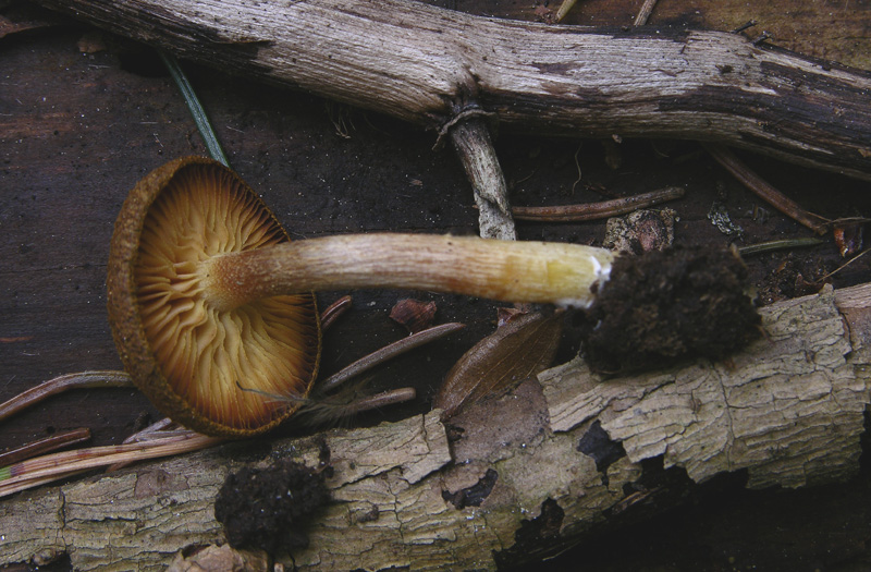 Facili,meno facili...per allenamento...
